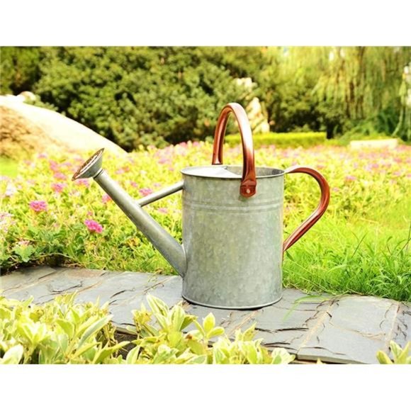One Gallon Watering Cans Stainless Steel for Plants Watering (Zinc 1 Gallon) - Picture 4 of 7